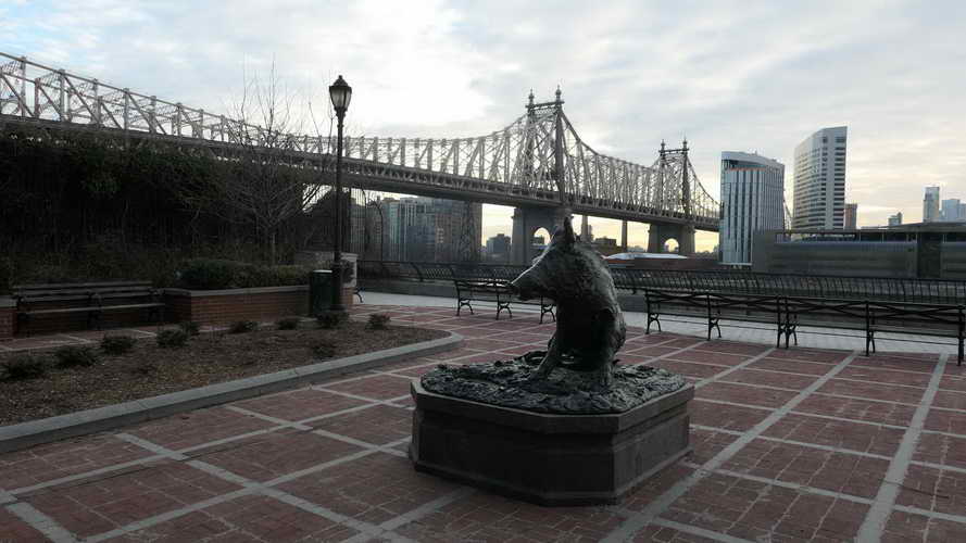 NYC_2020-01-27 07-49-02_P1070749
